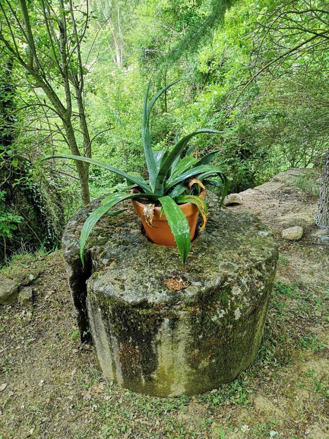 Casa Rural Ardetxal A 16Km De Logrono Y Laguardia Vinaspre Buitenkant foto